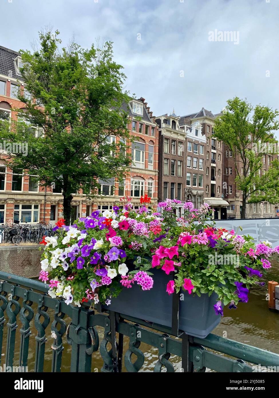 Canali e fiori; luoghi comuni ad Amsterdam! Foto Stock