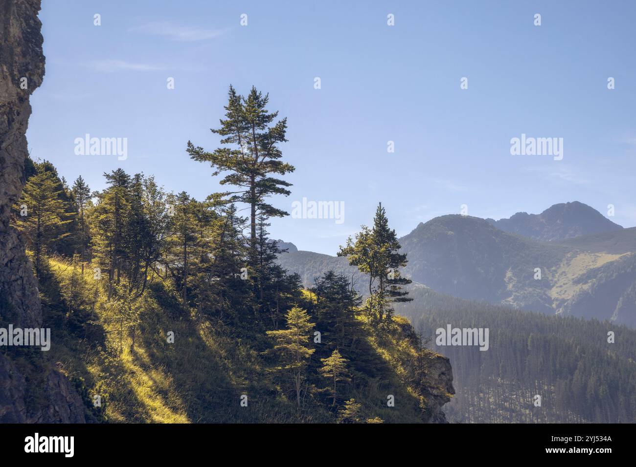 Una vista mozzafiato del Parco Nazionale Tatra in Polonia con lussureggianti foreste verdi e maestose montagne sotto un cielo azzurro. Foto Stock