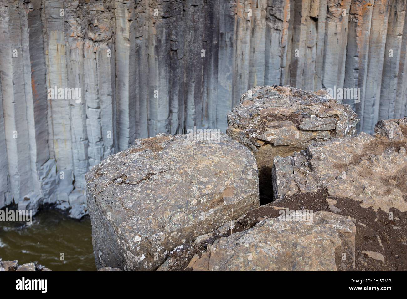 Vista ravvicinata delle colonne vulcaniche di basalto esagonale nel canyon di Studlagil (canyon di Basalt), Islanda. Foto Stock