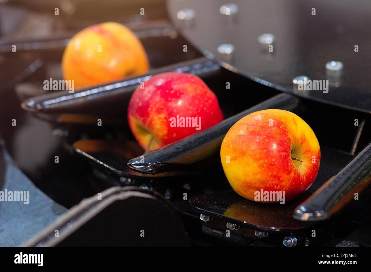 Nastro trasportatore, le mele fresche vengono smistate in fabbrica. Industria alimentare Foto Stock