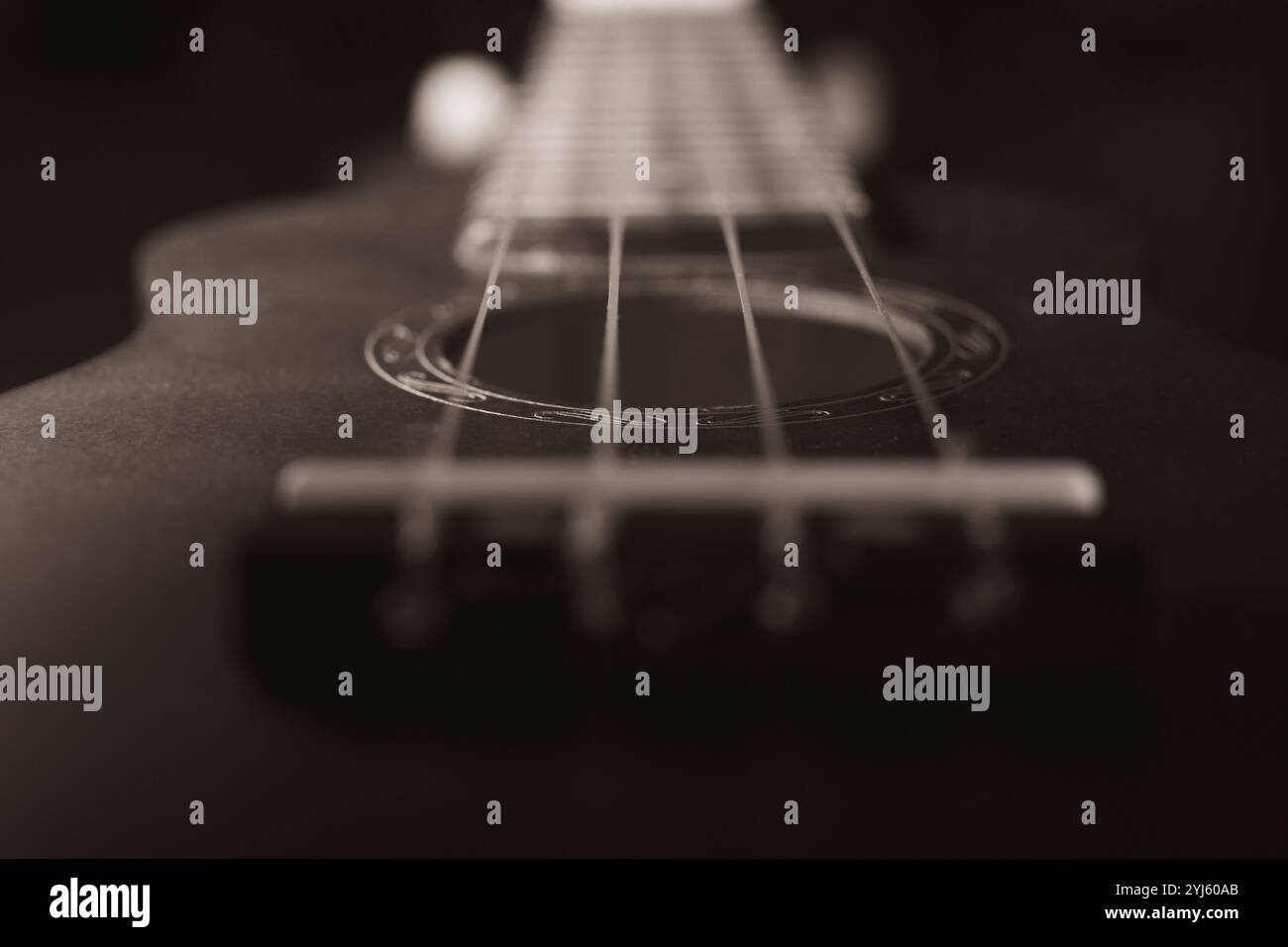 Corpo e corde dell'ukulele da vicino. foto in bianco e nero. Foto Stock