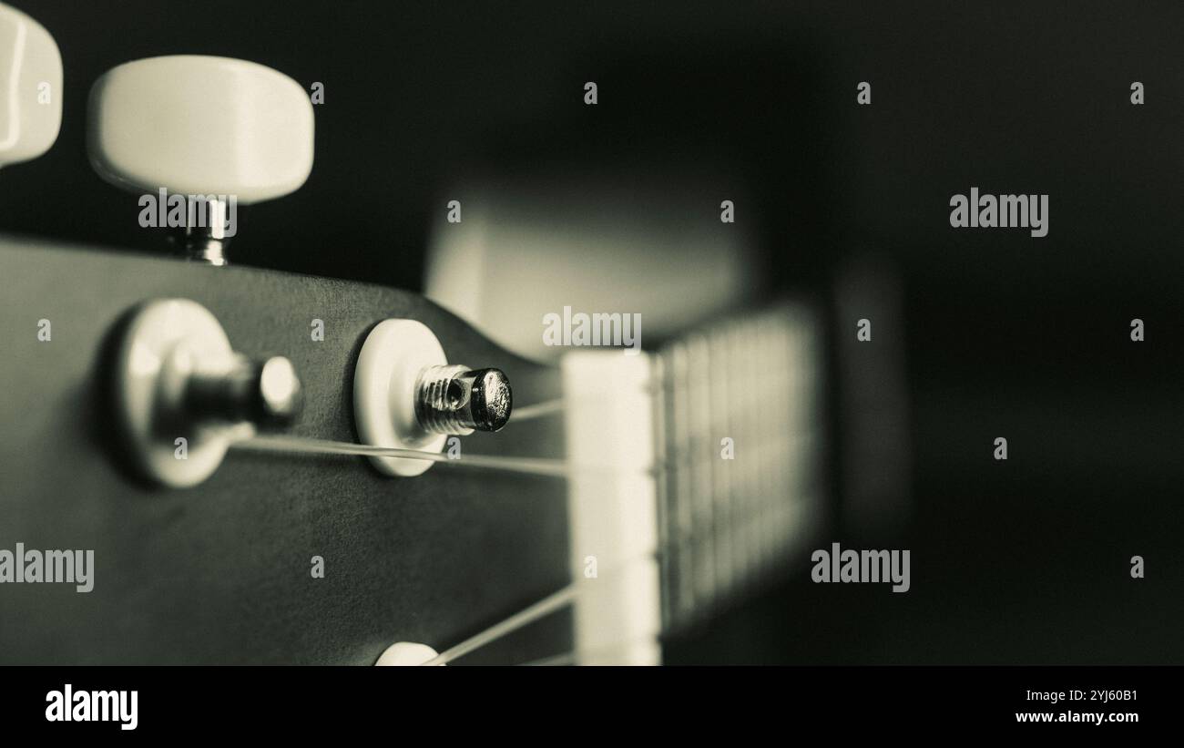 Primo piano della testa e del basamento dell'ukulele. foto in bianco e nero. Foto Stock