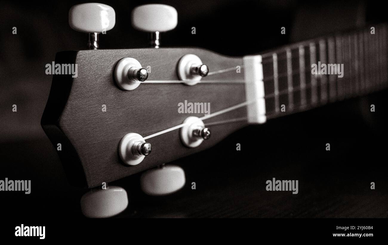 Primo piano della testa e del basamento dell'ukulele. foto in bianco e nero. Foto Stock