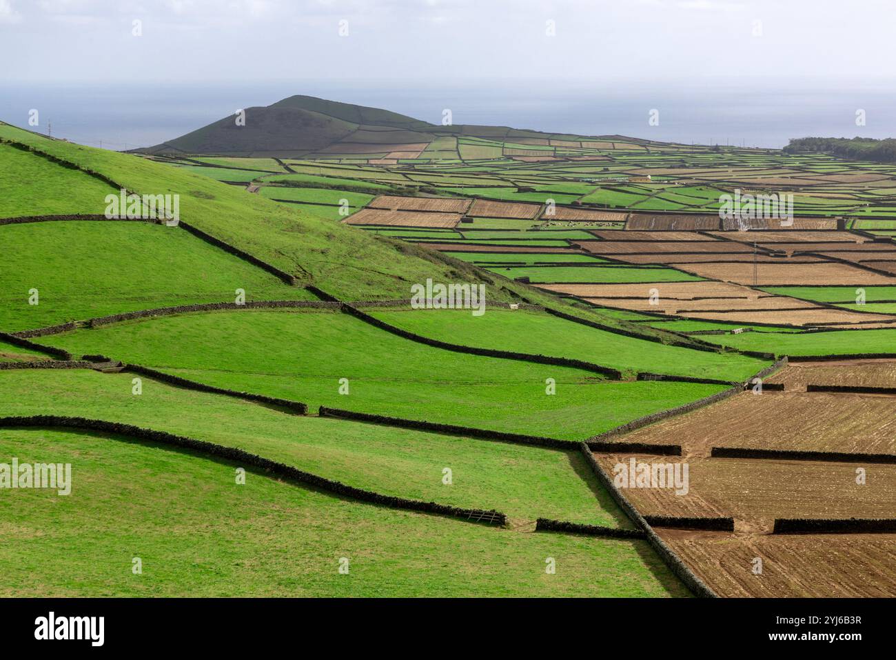Per l'isola di Terceira, tipici campi patchwork di Serra do Cume, Azzorre. Foto Stock