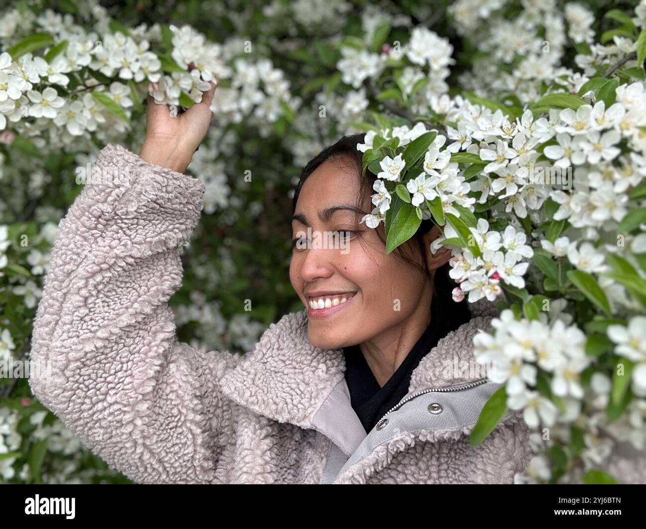 Donna sorridente che tiene in mano i fiori bianchi dei fiori di ciliegio a Central Park New York USA. - Immagine stock catturata con smartphone Donna sorridente che tiene in mano i fiori bianchi dei fiori di ciliegio a Central Park New York USA. - Immagine stock catturata con smartphone