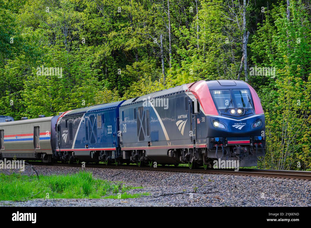 Index, WA, USA - 1° maggio 2024; Amtrak Empire Builder Seattle - Chicago treno in un paesaggio boscoso Foto Stock