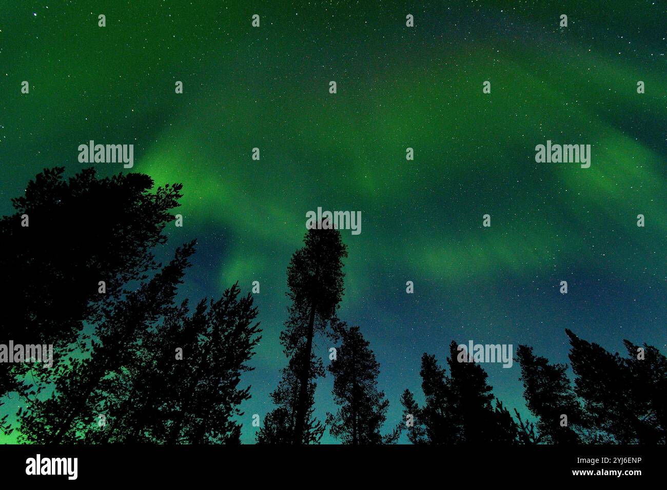 Aurora boreale durante il nostro viaggio in Lapponia, Finnland Foto Stock