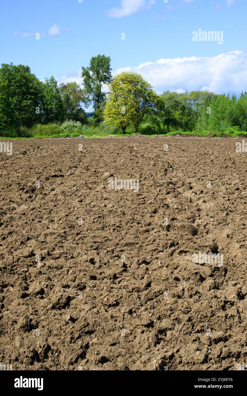 Terreno agricolo con terreno marrone arato pronto per la piantagione primaverile con alberi verdi Foto Stock