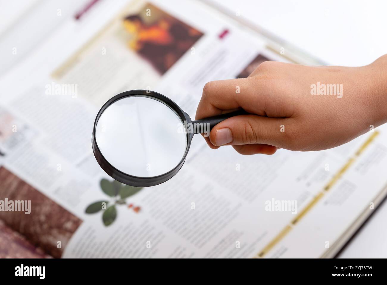 Mano che tiene una lente d'ingrandimento che esamina il libro e la pianta all'interno, simboleggia la ricerca, la conoscenza, l'esplorazione della natura e l'apprendimento attraverso i libri Foto Stock