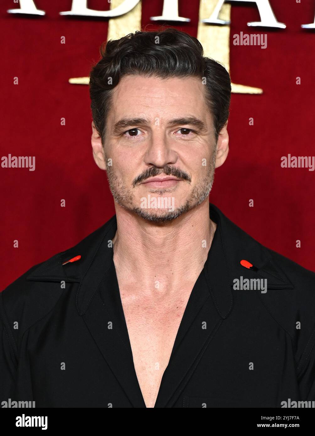 LONDRA, REGNO UNITO. 11 novembre 2024. Pedro Pascal partecipa a "Gladiator II" alla Royal Film Performance e alla Global Premiere all'ODEON Luxe, Leicester Square a Londra, Regno Unito. (Foto di 李世惠/SEE li/Picture Capital) credito: Vedi li/Picture Capital/Alamy Live News Foto Stock