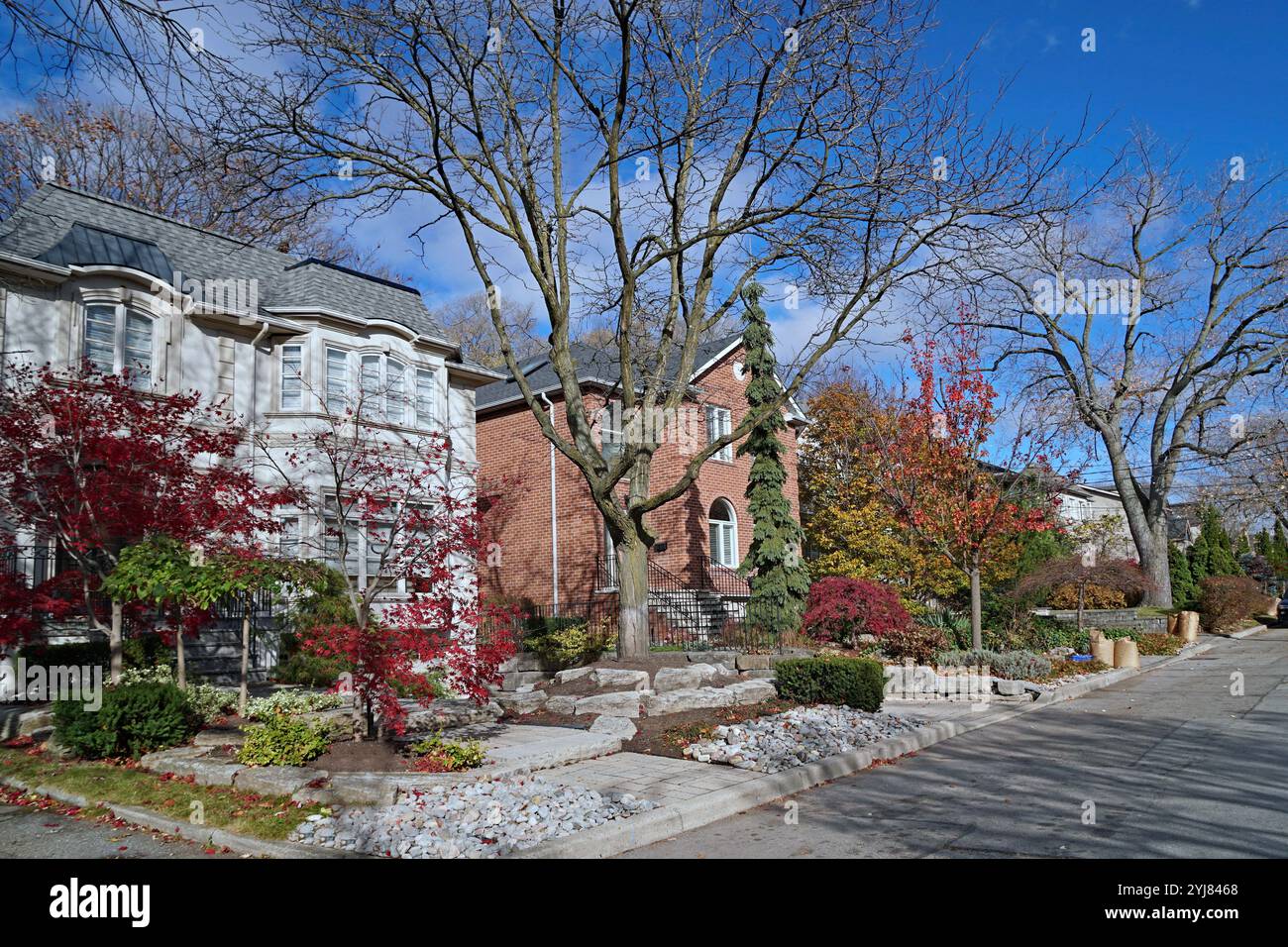 Strada residenziale suburbana con foglie colorate in autunno Foto Stock