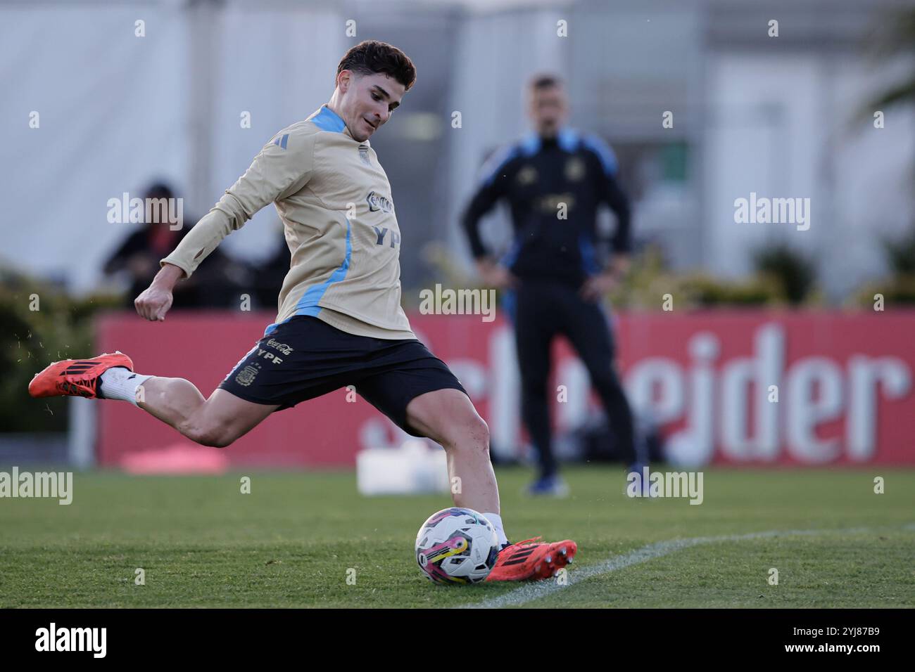 Ezeiza, Argentina - 12 novembre 2024: La nazionale argentina di calcio ha tenuto una sessione di allenamento nel suo complesso di Ezeiza, con giocatori chiave, in Foto Stock