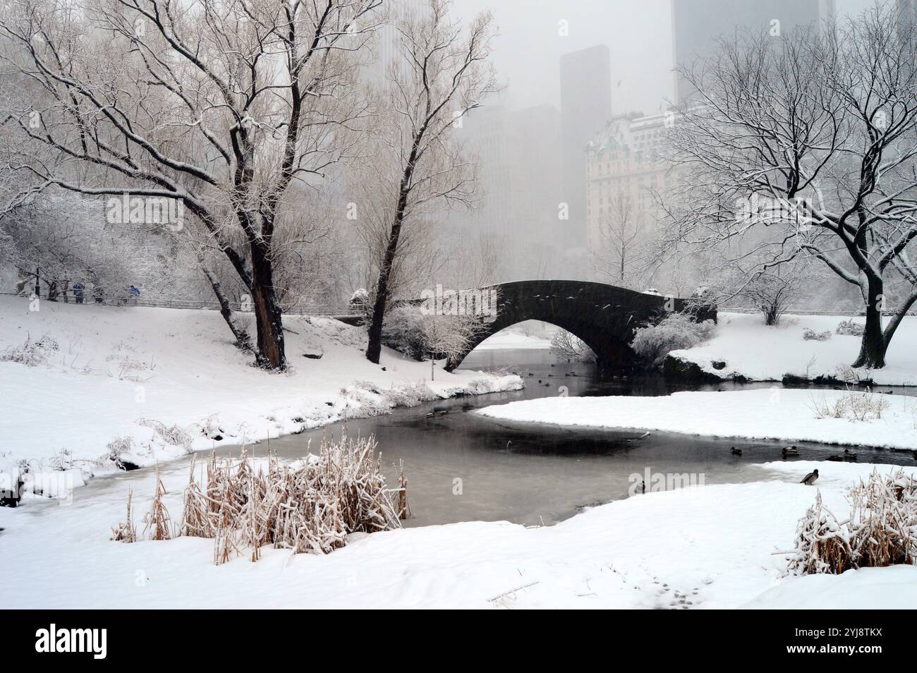 La neve invernale cade intorno al Gapstow Bridge in pietra e agli alberi circostanti a Central Park a New York Foto Stock