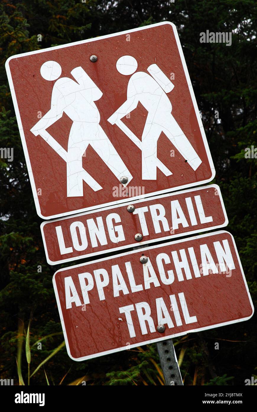 Due classici sentieri escursionistici, il Long Trail e l'Appalachian Trail, convergono vicino a Killington, Vermont Foto Stock