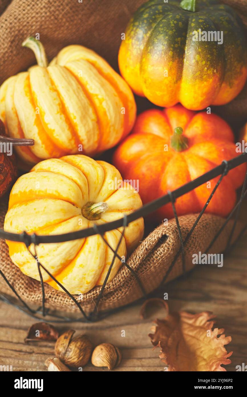 Diverse zucche in un cestino Foto Stock