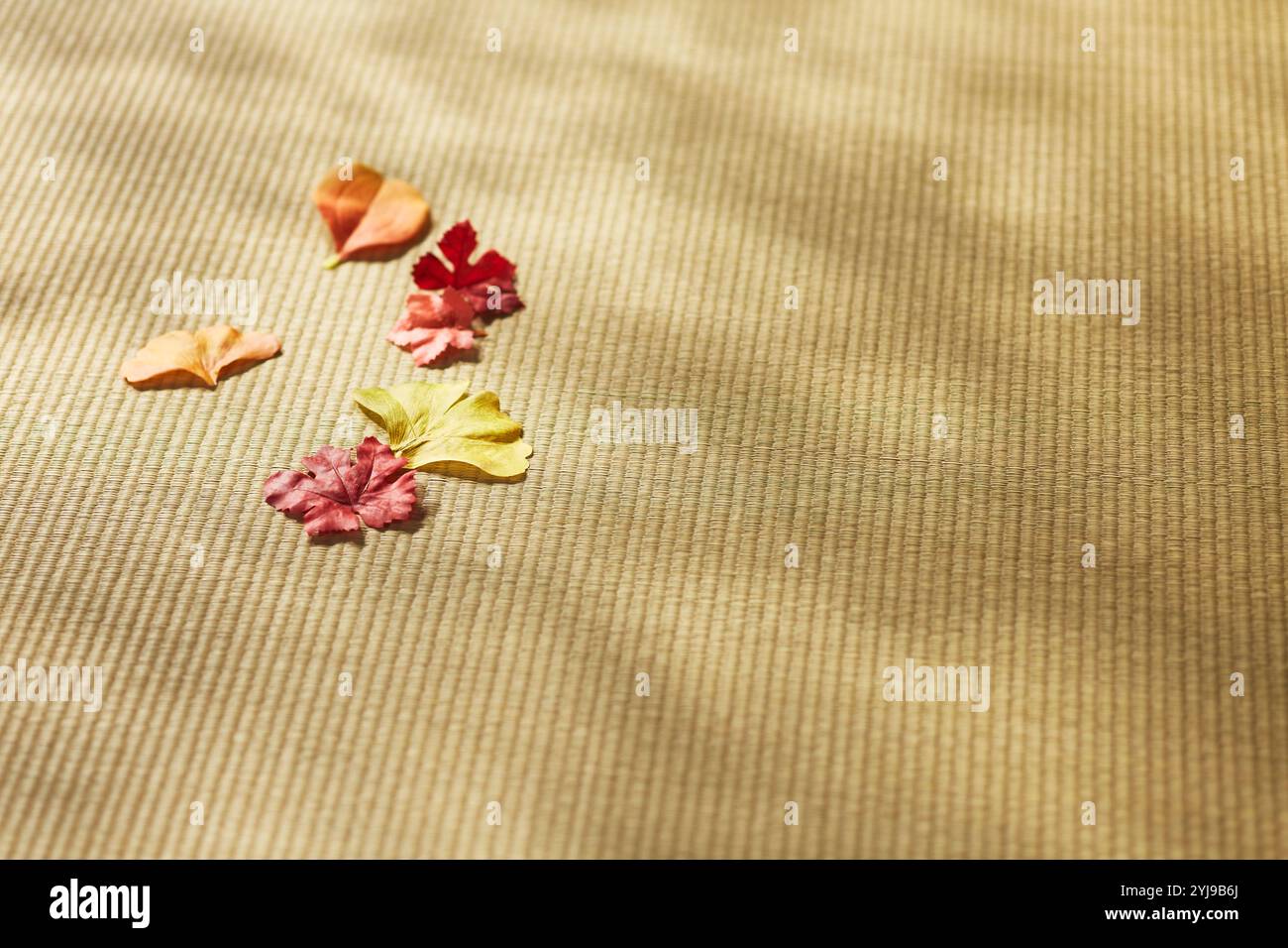 Foglie cadute su un tappetino tatami Foto Stock