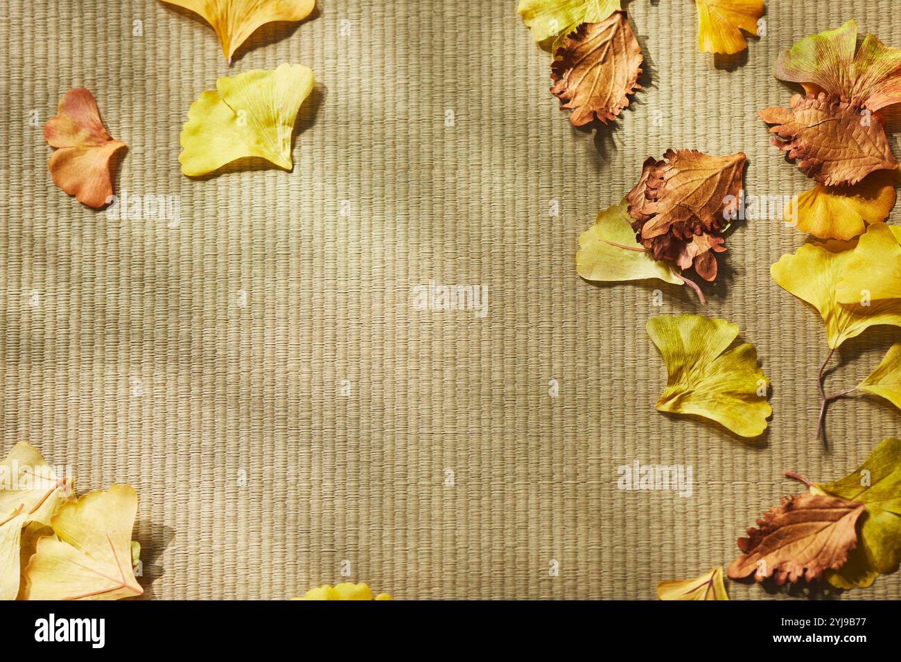 Foglie cadute su un tappetino tatami Foto Stock