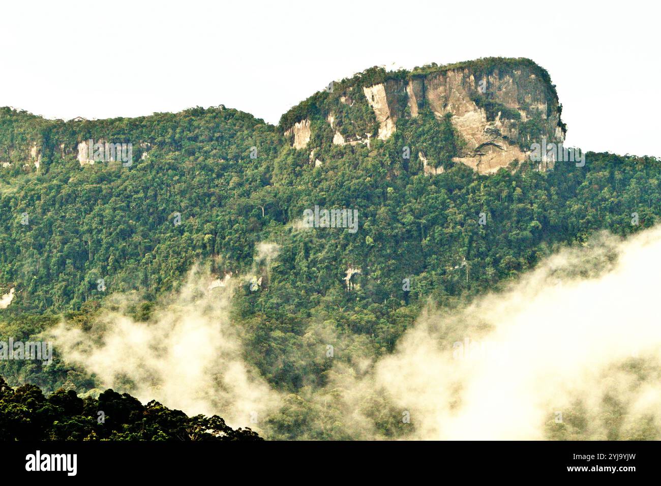 La foresta pluviale sulla collina Amalambit è visibile dal villaggio di Nanga Raun a Kalis, Kapuas Hulu, Kalimantan occidentale, Indonesia. Foto Stock