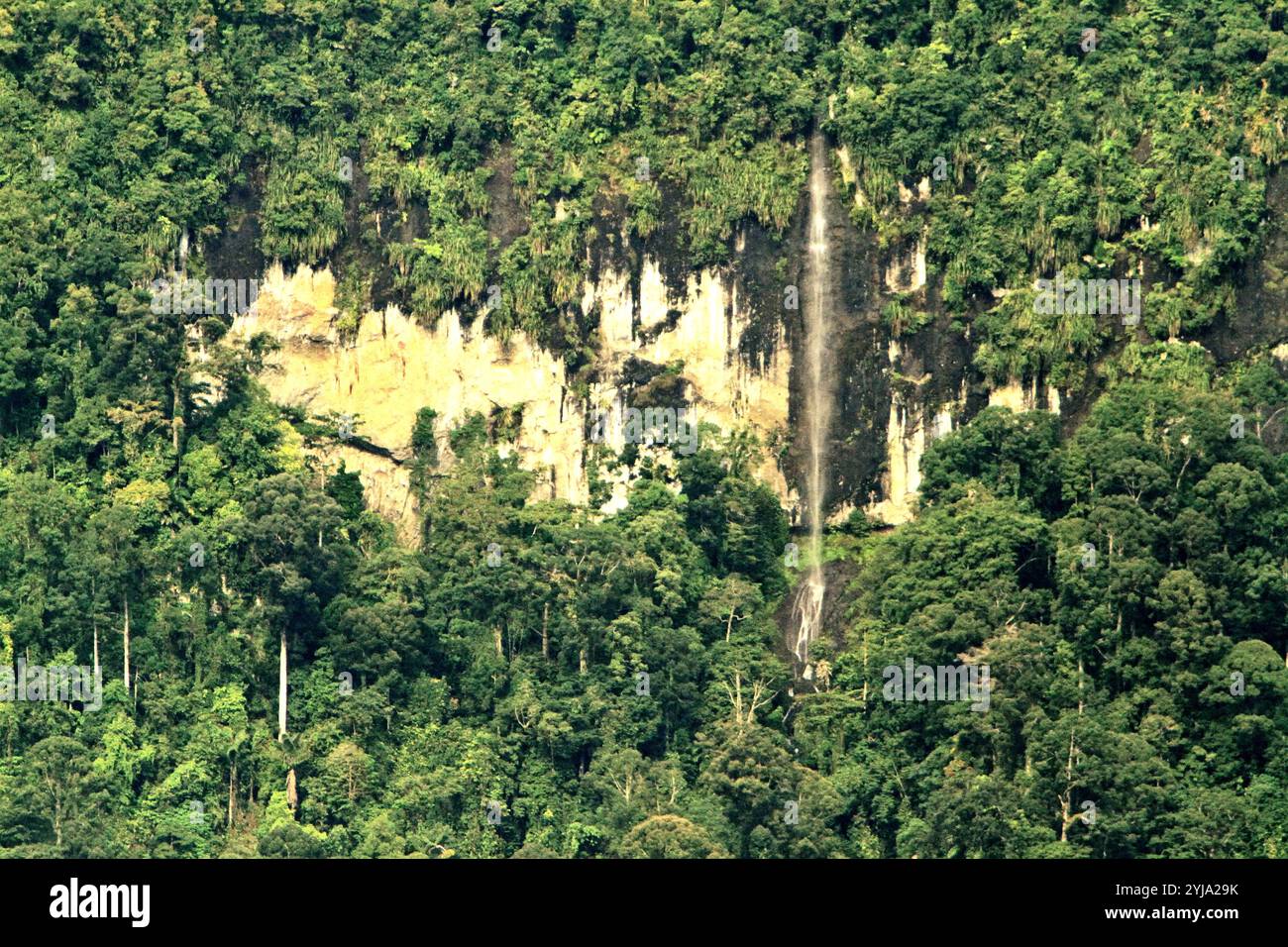La foresta pluviale e una cascata sul pendio della collina di Bukit Tilung sono viste dal villaggio di Nanga Raun in Kalis, Kapuas Hulu, Kalimantan occidentale, Indonesia. Foto Stock