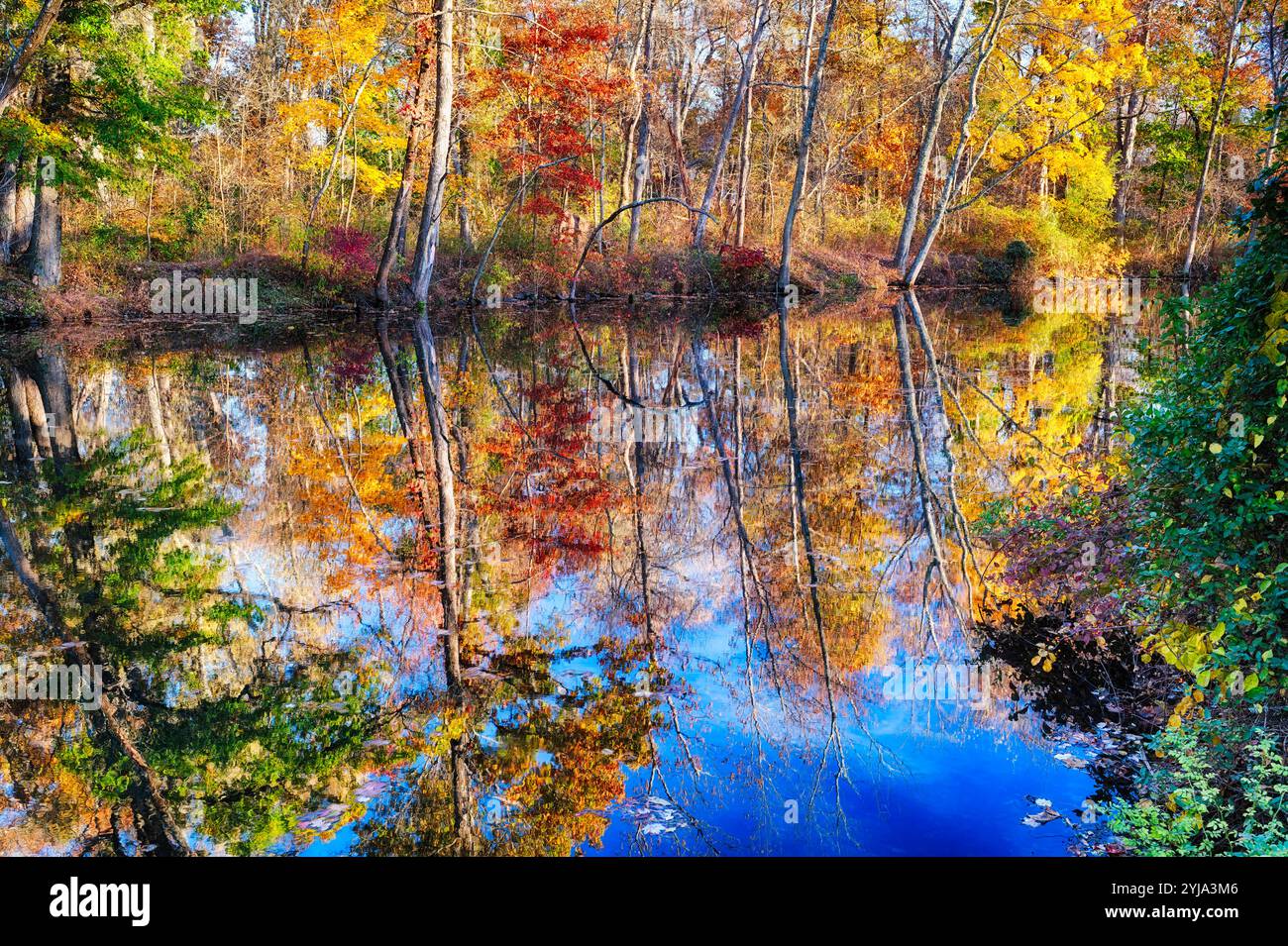 Fall Foliage Reflection nel Delaware e Raritan Canal, Millstone, New Jersey, USA Foto Stock