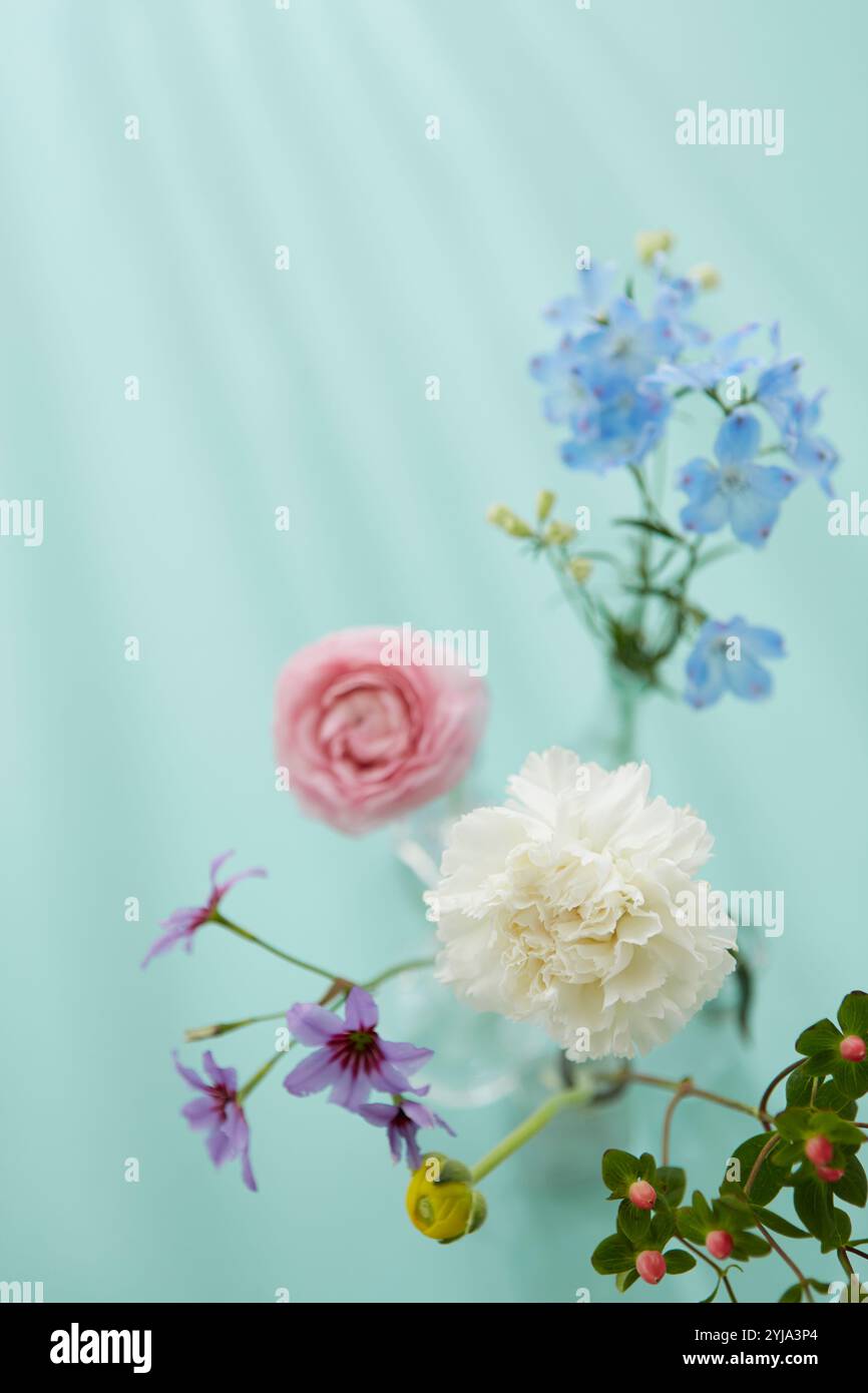 Fiori colorati e luce Foto Stock