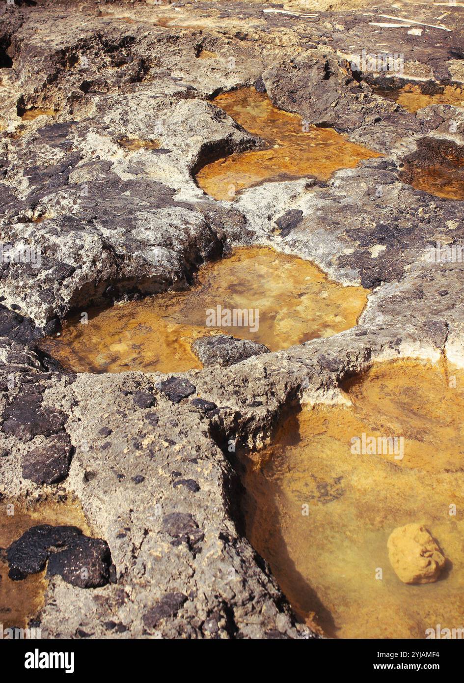 I fori nella formazione corallina si raccordano con acqua Foto Stock