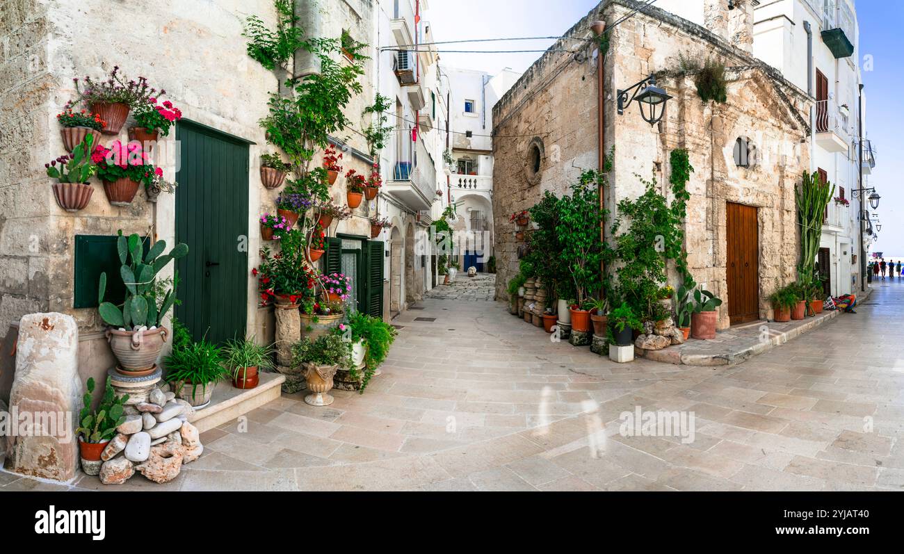 Viaggi in Italia e luoghi di interesse. Affascinanti cittadine tradizionali dell'Italia meridionale in Puglia - città vecchia di Monopoli con stradine floreali. Foto Stock