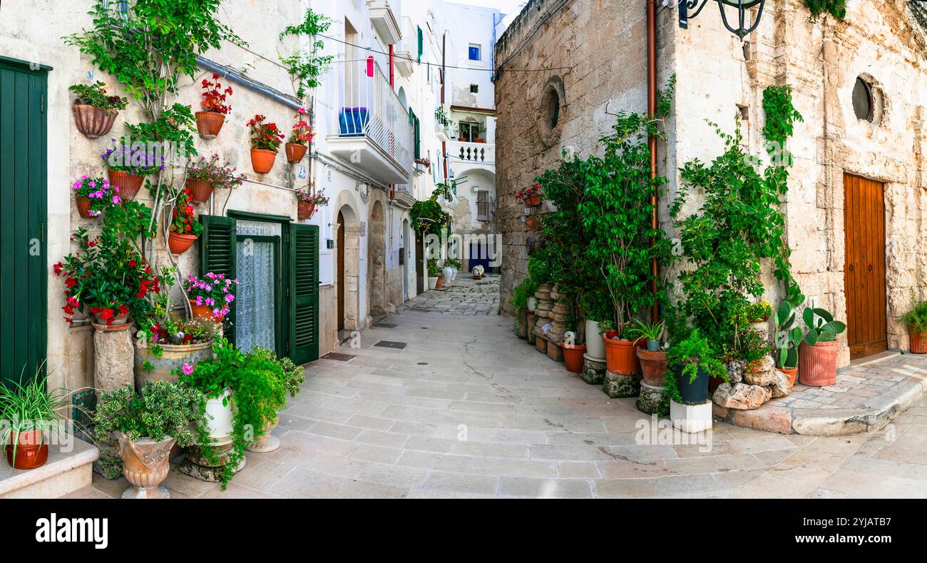 Viaggi in Italia e luoghi di interesse. Affascinanti cittadine tradizionali dell'Italia meridionale in Puglia - città vecchia di Monopoli con stradine floreali. Foto Stock
