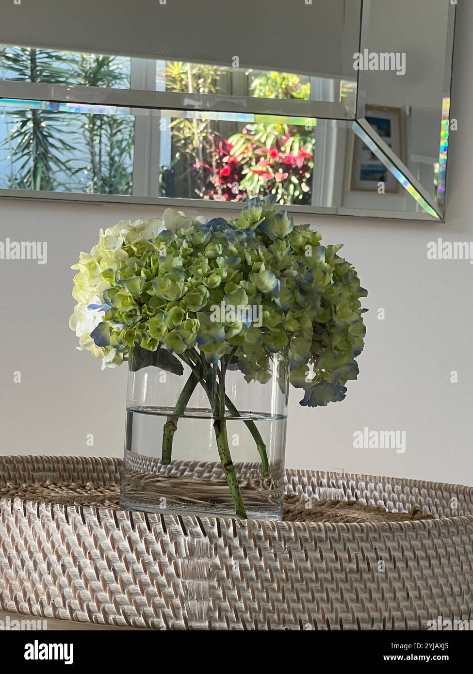 Eleganti arredi interni con un vaso di vetro di ortensie su un tavolo in vimini, con uno specchio moderno e luce naturale a creare un ambiente sereno - Immagine stock catturata con smartphone