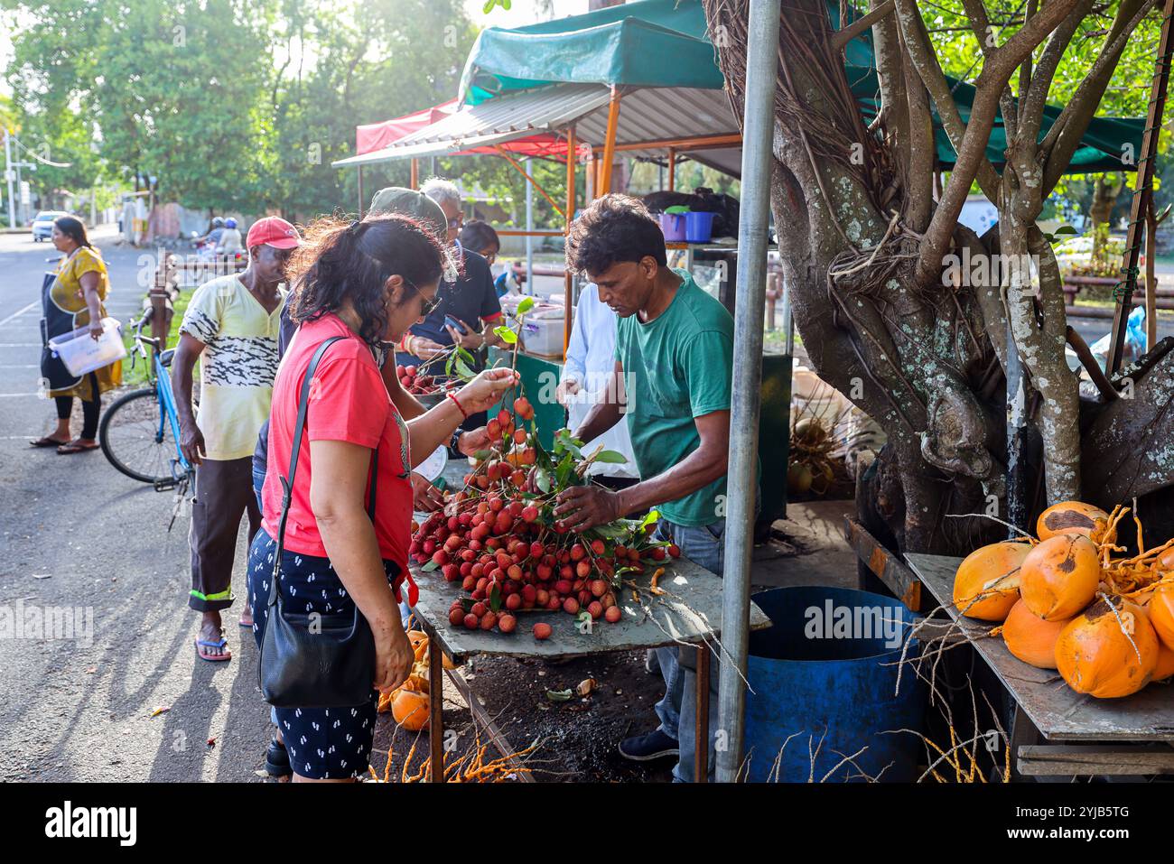 Un gruppo variegato di individui si riunì intorno a un vivace banco di frutta a Mauritius, circondato da un'abbondanza di litchi freschi e altri frutti. Foto Stock