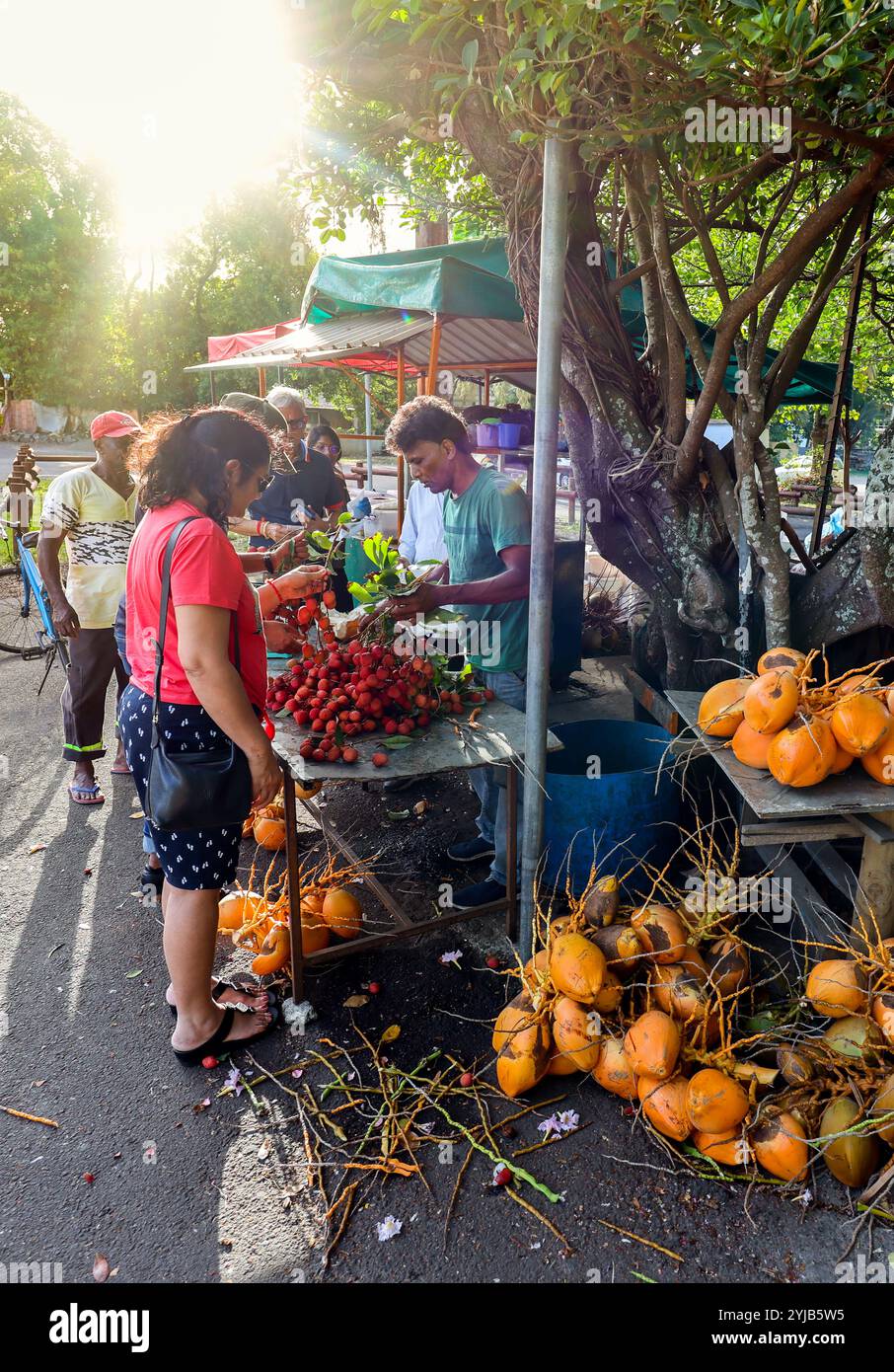 Un gruppo variegato di individui si riunisce intorno a un vivace banco di frutta pieno di un assortimento di litchi freschi a Mauritius. Foto Stock