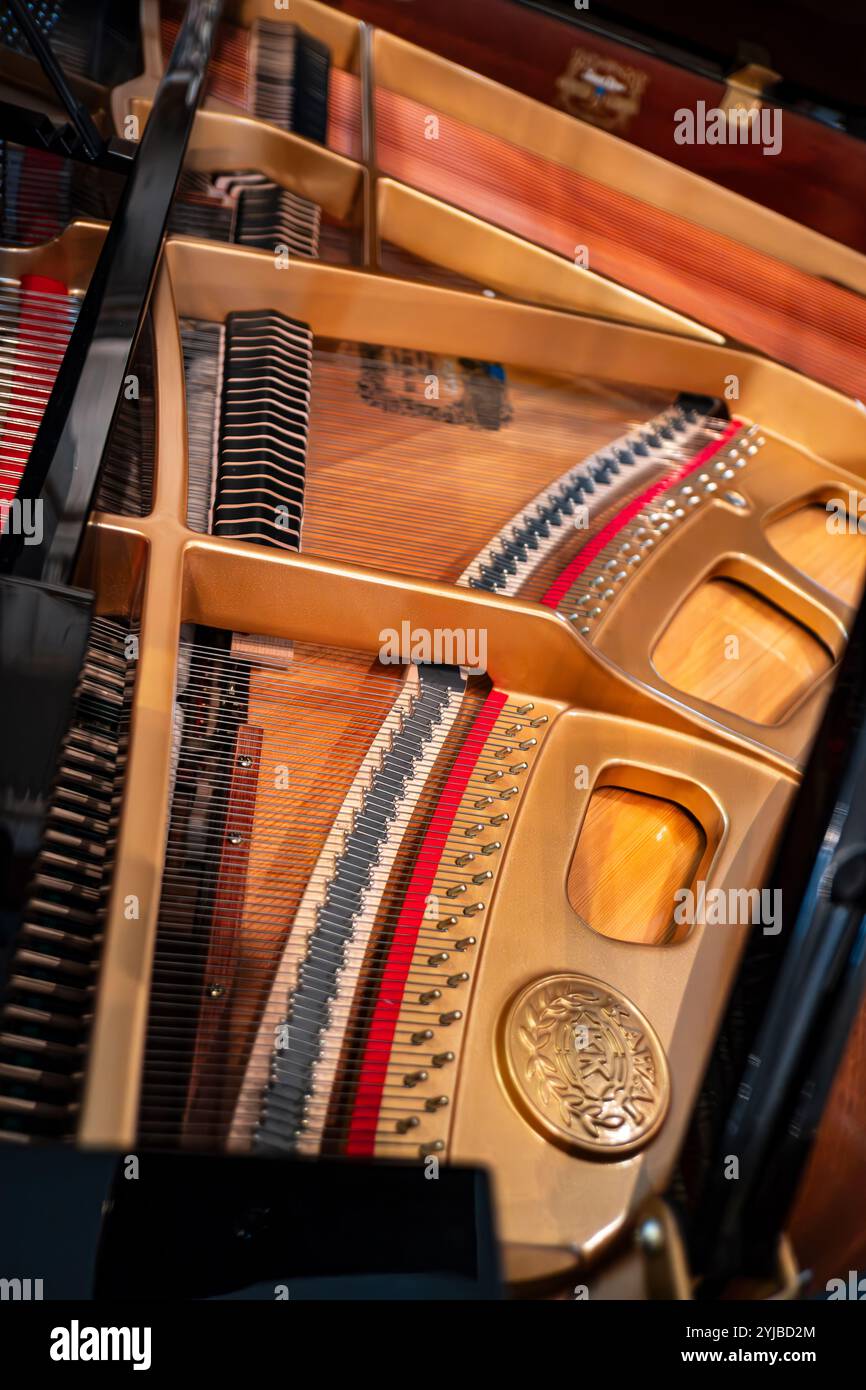 Un pianoforte a coda aperto da concerto rivela il suo funzionamento interno. Foto Stock