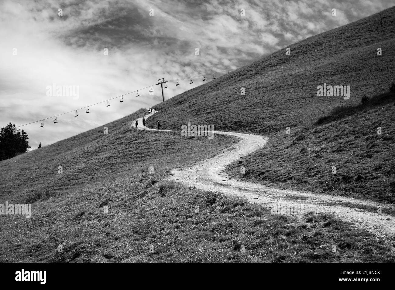 Un sentiero tortuoso sale attraverso una lussureggiante erba alpina, guidando gli escursionisti verso un sentiero di montagna. Uno skilift si alza dolcemente sopra, suggerendo un'invitante avventura estiva in mezzo alla natura. Foto Stock