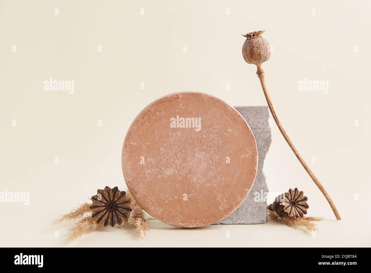 Astratto natura scena composizione di pietre, semi secchi di papavero. Sfondo beige neutro per cosmetici, identità, packaging. Foto Stock