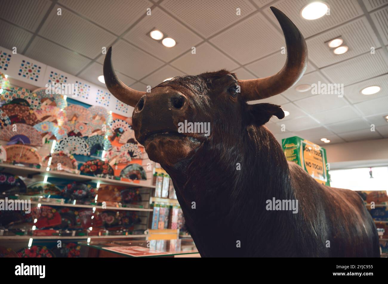 Un supporto toro completo esposto in un negozio spagnolo, circondato da vivaci fan delle mani Foto Stock