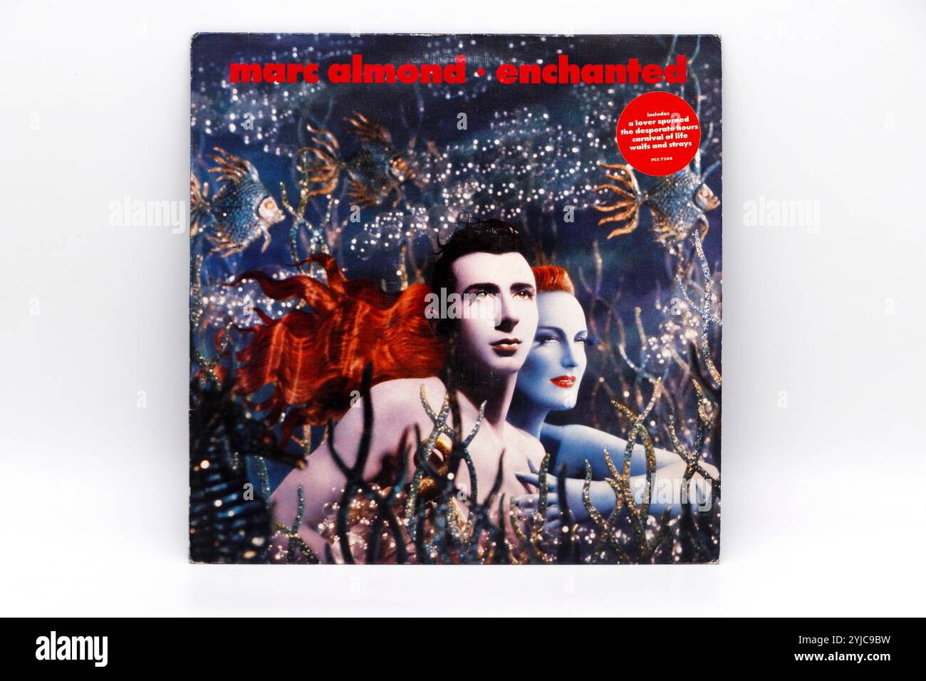 marc Almond, copertina LP vintage "incantata", Foto Stock