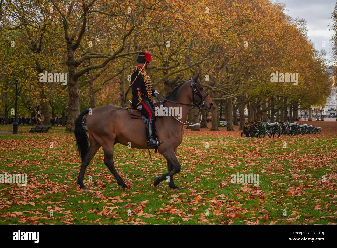 Londra, Regno Unito. 14 novembre 2024 i membri della King's Troop Royal Horse Artillery arrivano per sparare un saluto di 41 cannoni a Green Park in occasione del 76° compleanno del King Charles III Credit. Amer Ghazzal/Alamy Live News Foto Stock