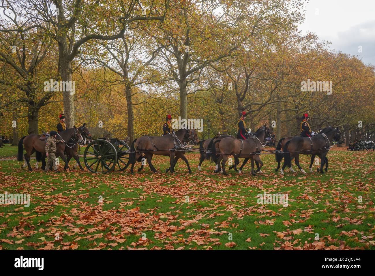 Londra, Regno Unito. 14 novembre 2024 i membri della King's Troop Royal Horse Artillery arrivano per sparare un saluto di 41 cannoni a Green Park in occasione del 76° compleanno del King Charles III Credit. Amer Ghazzal/Alamy Live News Foto Stock