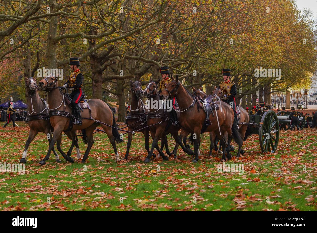 Londra, Regno Unito. 14 novembre 2024 i membri della King's Troop Royal Horse Artillery arrivano per sparare un saluto di 41 cannoni a Green Park in occasione del 76° compleanno del King Charles III Credit. Amer Ghazzal/Alamy Live News Foto Stock