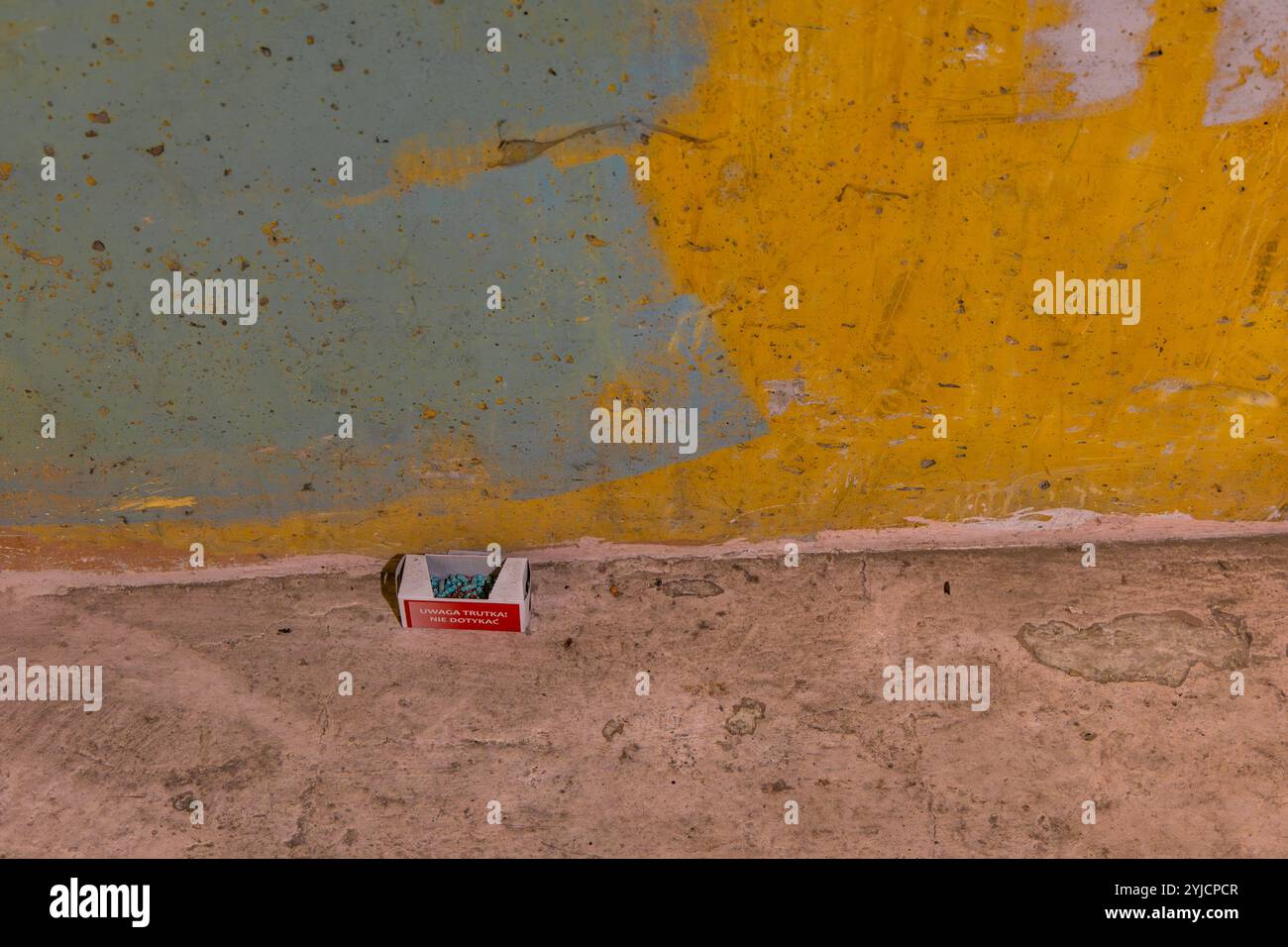 Una scatola con veleno per topi, topi, roditori, a terra, nel pavimento della casa Foto Stock