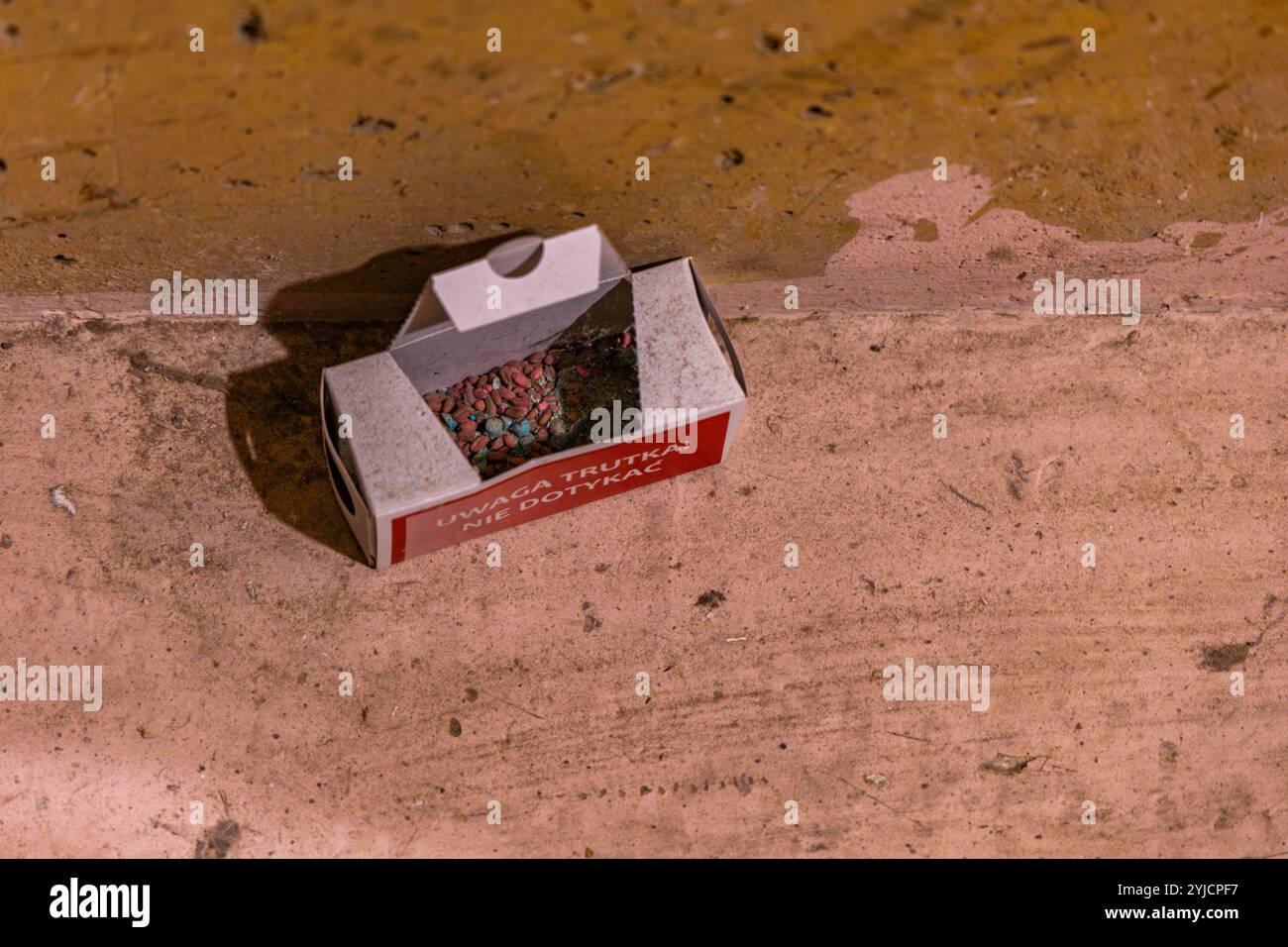 Una scatola con veleno per topi, topi, roditori, a terra, nel pavimento della casa Foto Stock