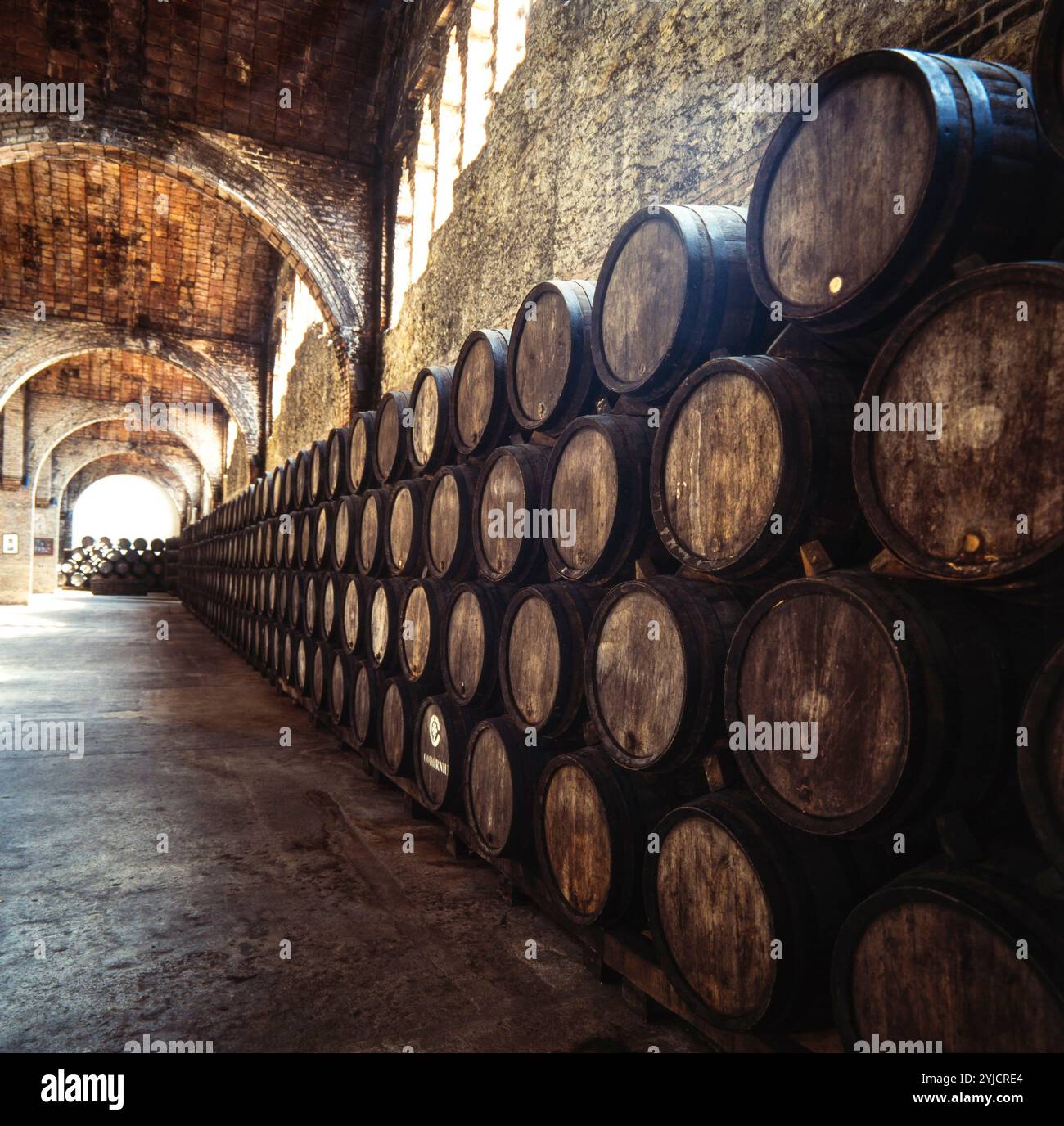 Cavas Codorniu, 1902-1915. Bodega grande. Navata con colonne. Tres arcos de medio punto sobre pilares, que soportan los arcos torales de ladrillo de las vueltas. Barricas. Modernismo. Sant Sadurní d'Anoia. AUTORE: JOSEP PUIG I CADAFALCH. Foto Stock