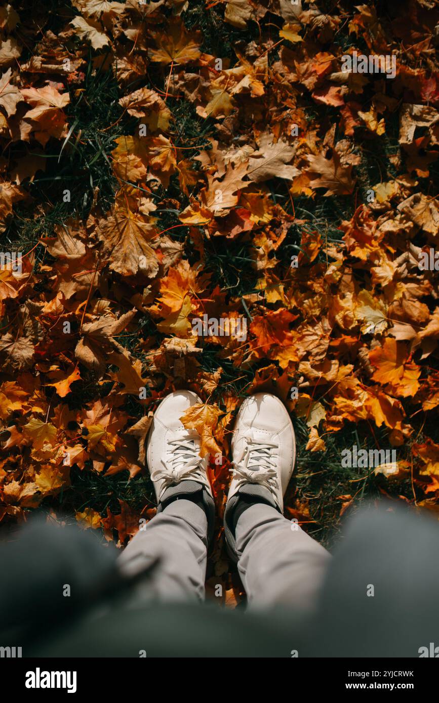 Vista in prima persona su foglie autunnali colorate con sneakers bianche Foto Stock