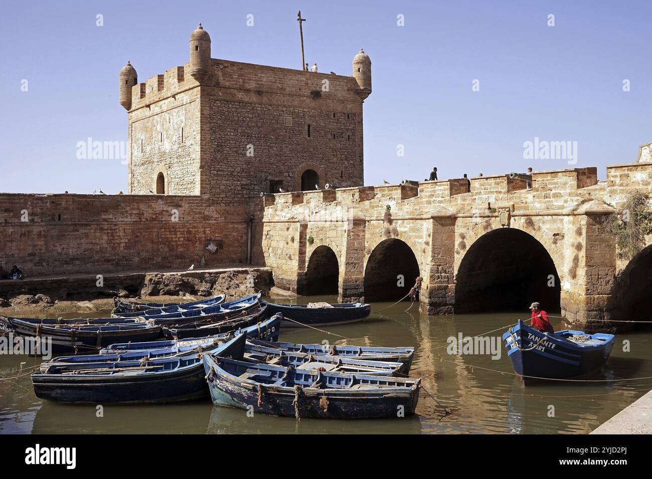 Africa, costa atlantica, Marocco, le Maroc, Essaouira, Mogador, porto di pesca, Blue boats, Coloured boats, Blue Boats, bacino portuale, i pescatori, Fis Foto Stock