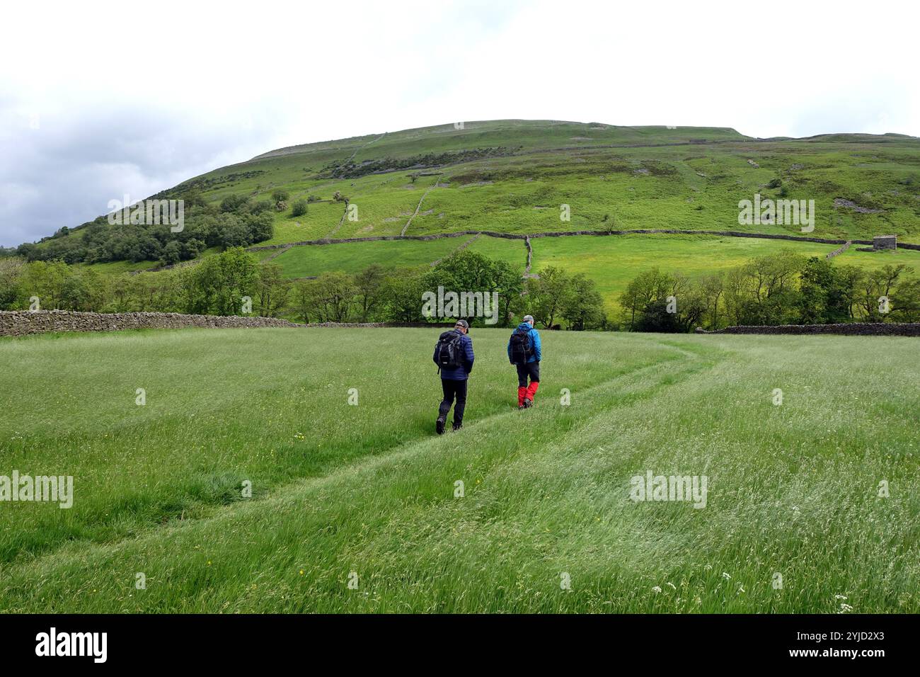 Due uomini (escursionisti) camminando per Kisdon Hill sulla Pennine Way attraverso Hay Meadows da Thwaite a Swaledale, Yorkshire Dales National Park. Inghilterra, Regno Unito. Foto Stock
