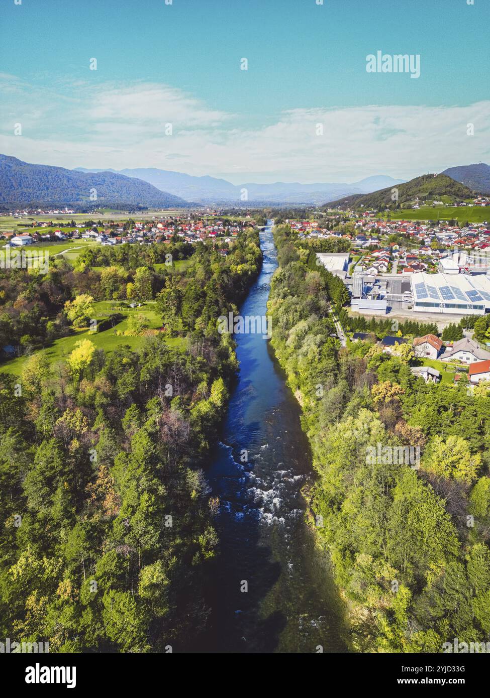 Vista aerea, drone che sorvola la comunità suburbana in campagna. Case di famiglia nei sobborghi circondate da boschi e campi verdi Foto Stock