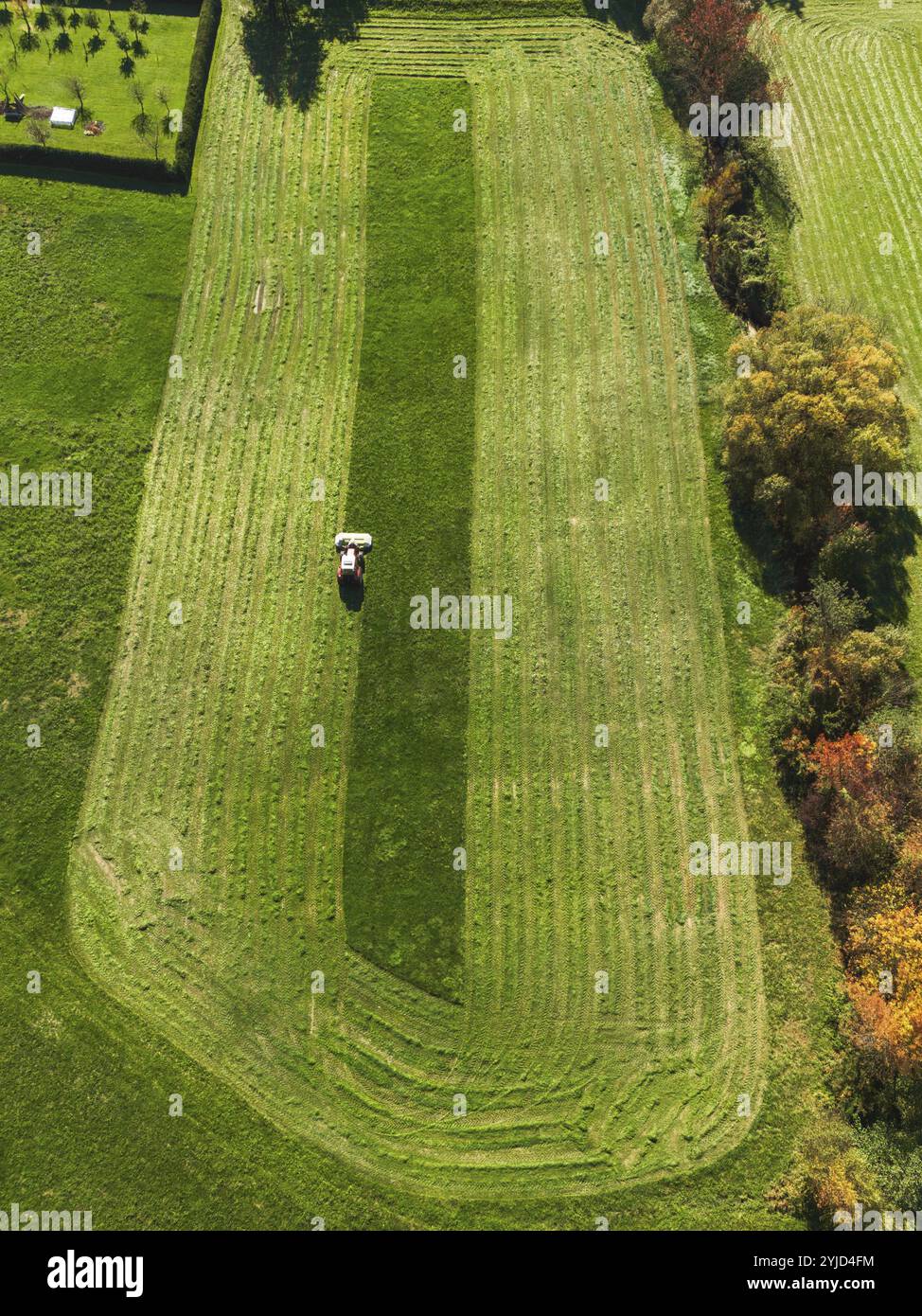 Vista aerea di un trattore che taglia un campo verde con erba fresca, di un agricoltore in un trattore moderno che taglia un campo verde con erba fresca in una giornata di sole. Foto Stock