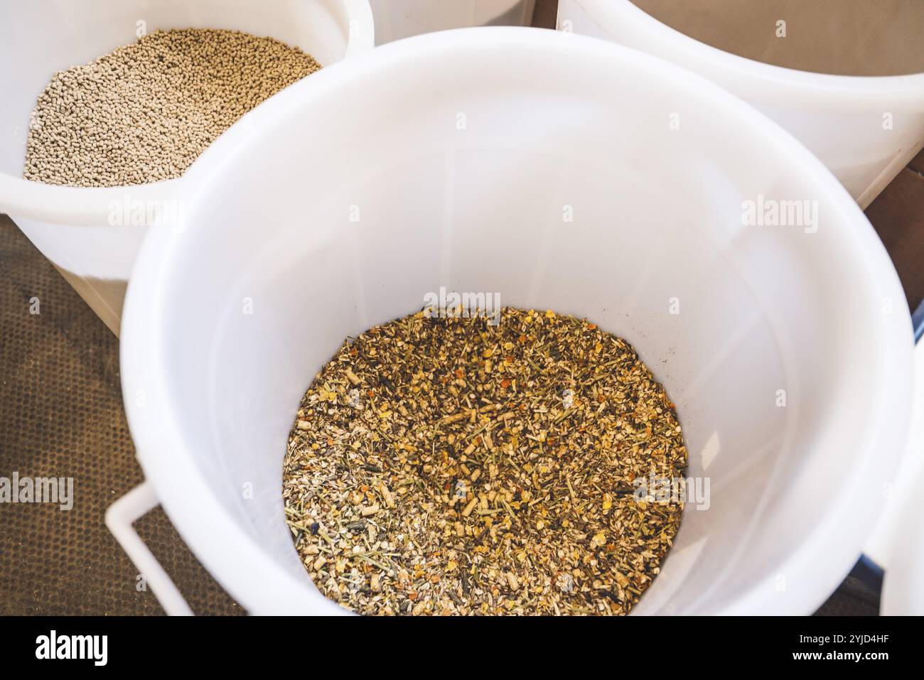 Benne riempite di grano per alimentare i cavalli insieme al fieno. Cibo per animali nel ranch Foto Stock