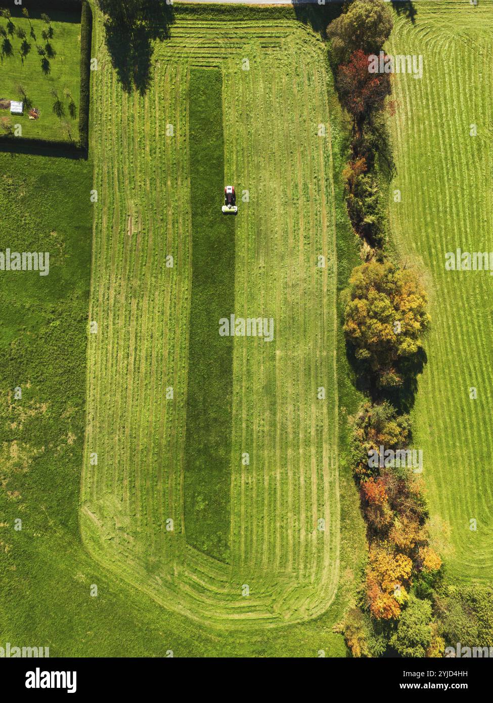 Vista aerea di un trattore che taglia un campo verde con erba fresca, di un agricoltore in un trattore moderno che taglia un campo verde con erba fresca in una giornata di sole. Foto Stock