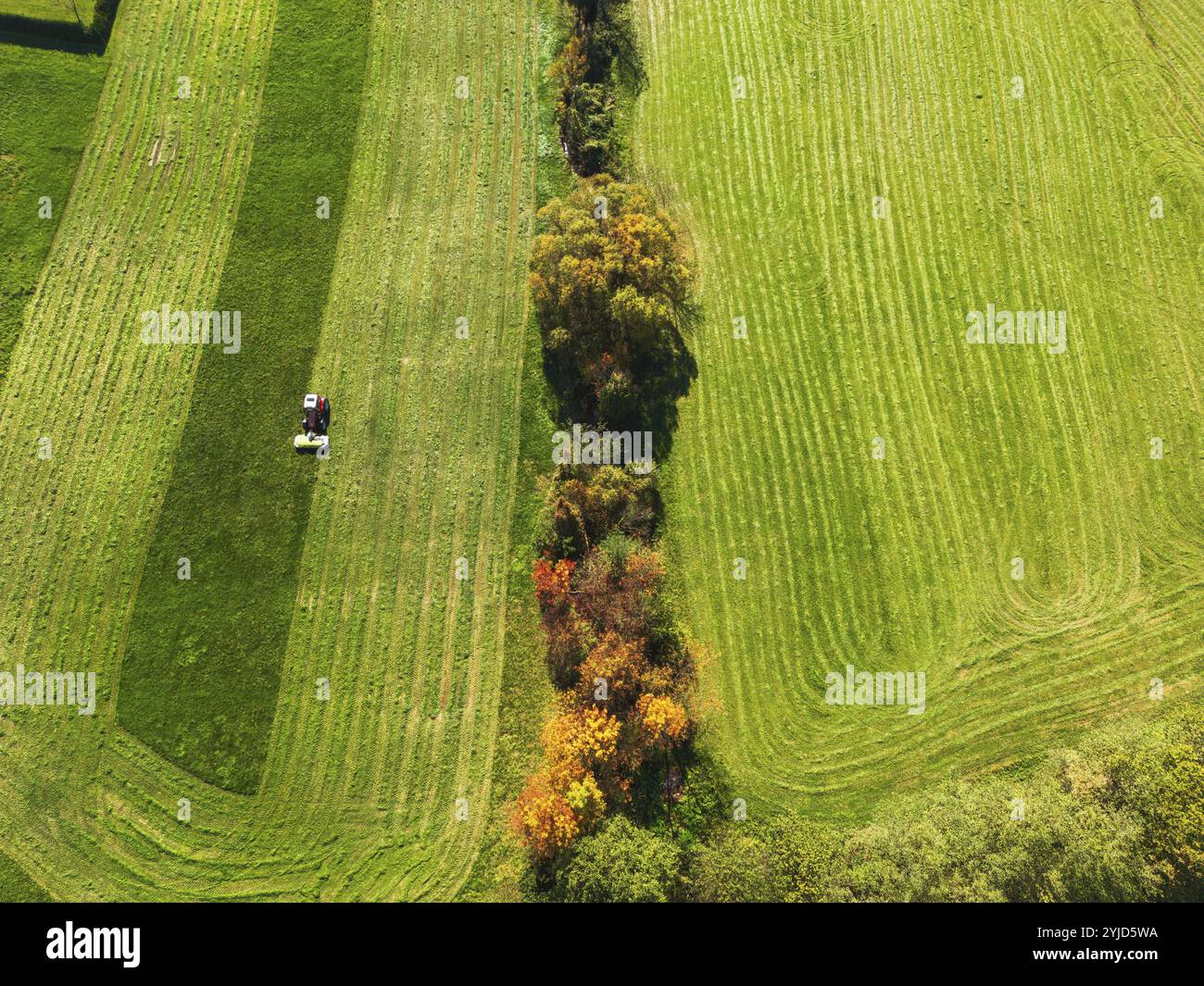 Vista aerea di un trattore che taglia un campo verde con erba fresca, di un agricoltore in un trattore moderno che taglia un campo verde con erba fresca in una giornata di sole. Foto Stock